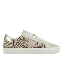  Kate in Brown / Grey